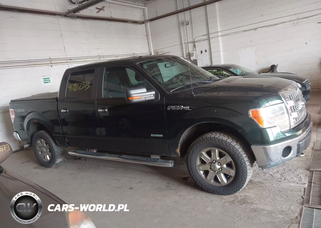 2013 Ford F-150 Xlt VIN:1FTFW1ETXDFC65531 - 13