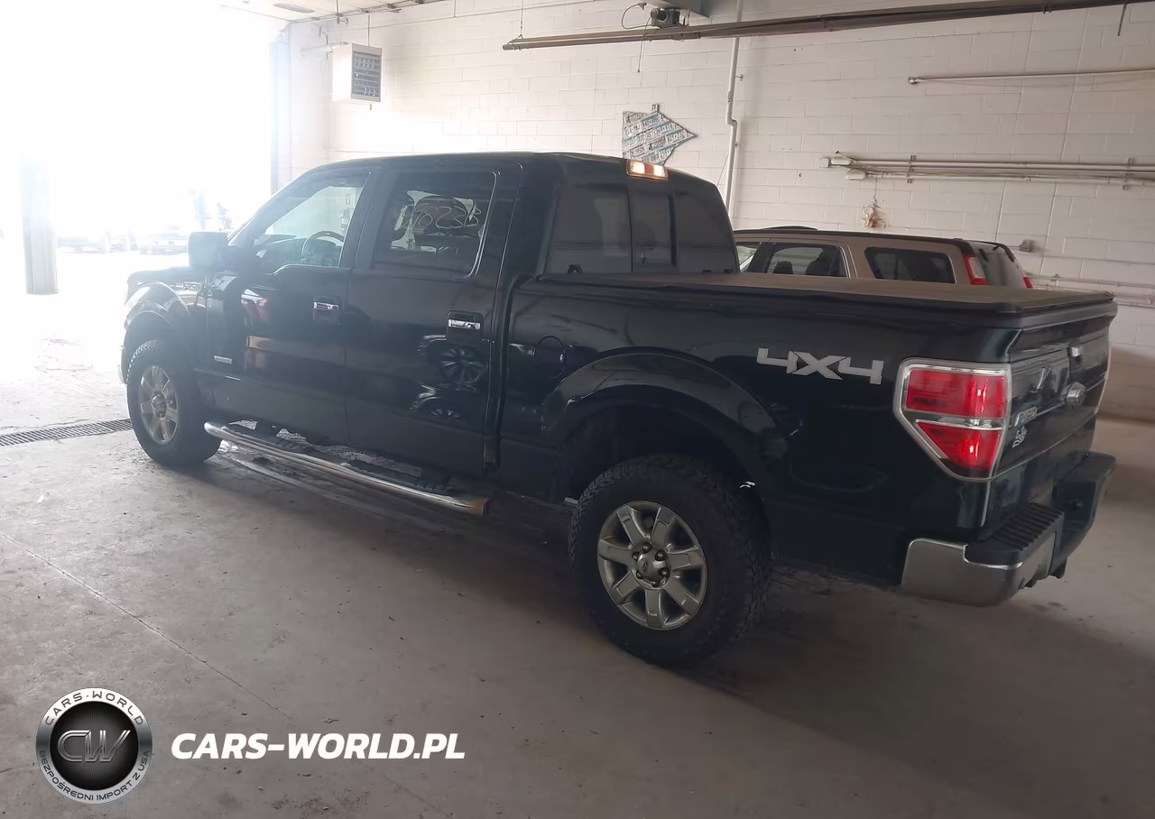 2013 Ford F-150 Xlt VIN:1FTFW1ETXDFC65531 - 3