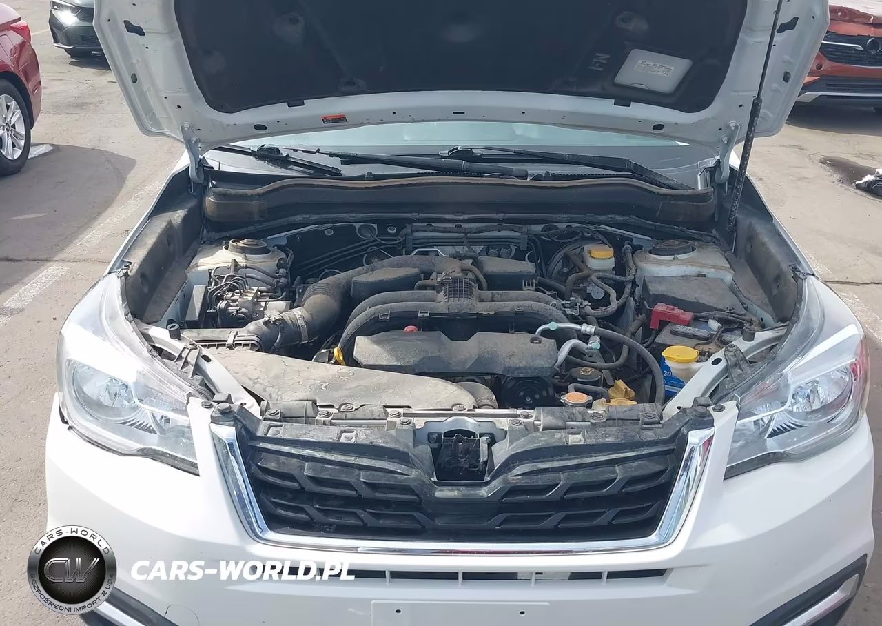 2018 Subaru Forester 2.5I Premium VIN:JF2SJAGC7JH569511 - 10