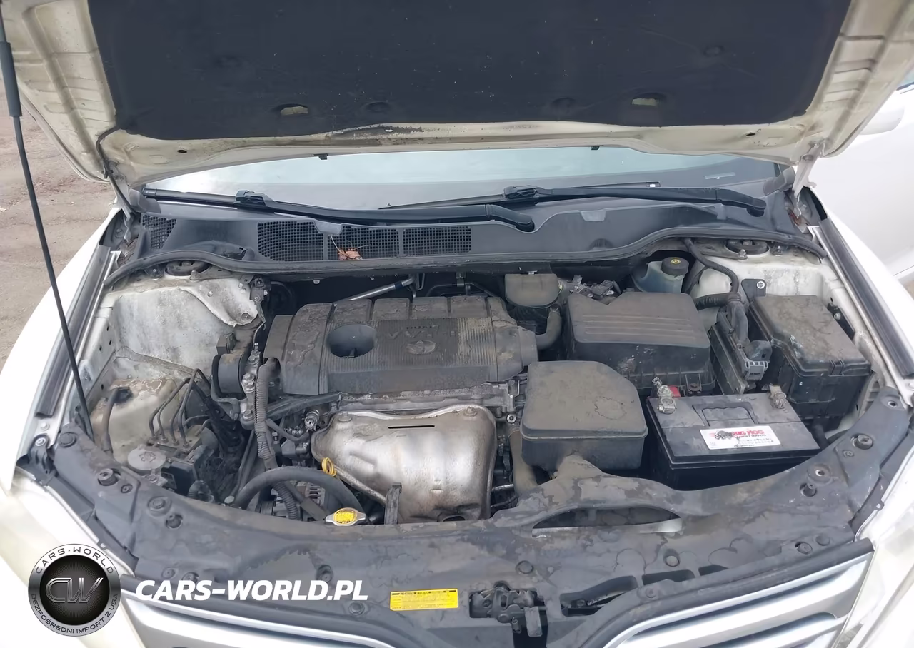 2010 Toyota Venza VIN:4T3ZA3BB4AU023248 - 10