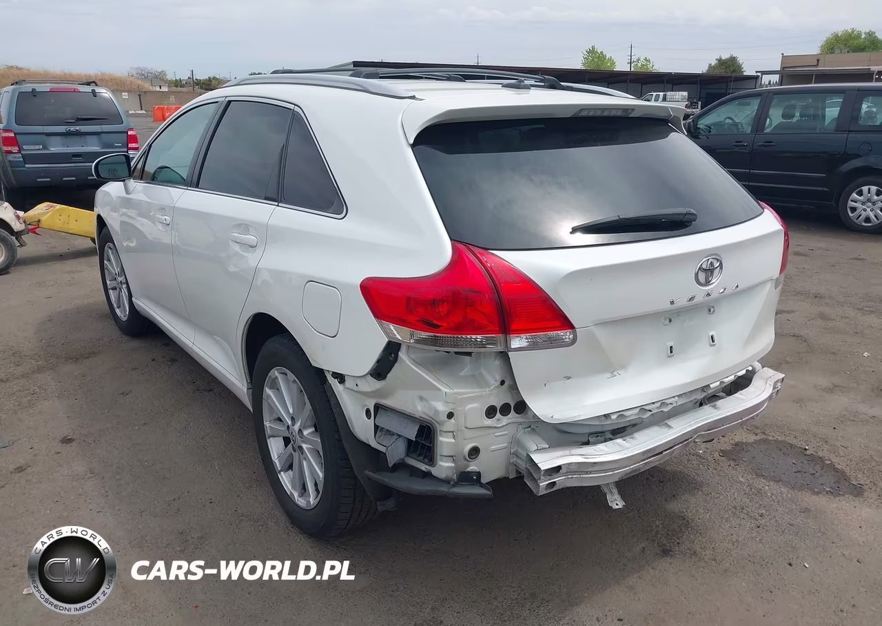 2010 Toyota Venza VIN:4T3ZA3BB4AU023248 - 3