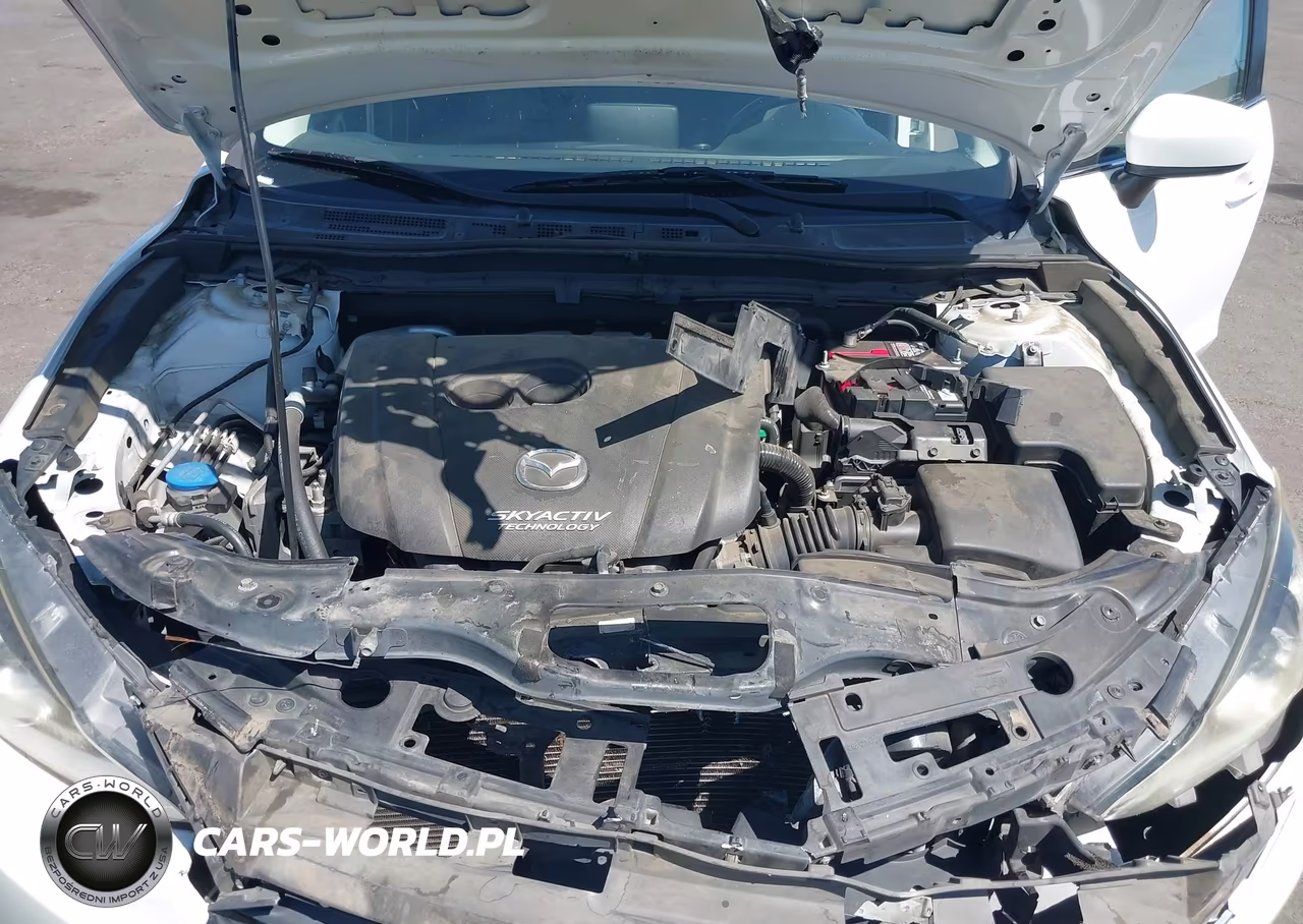 2016 Mazda Mazda3 I Sport VIN:JM1BM1U70G1316867 - 10