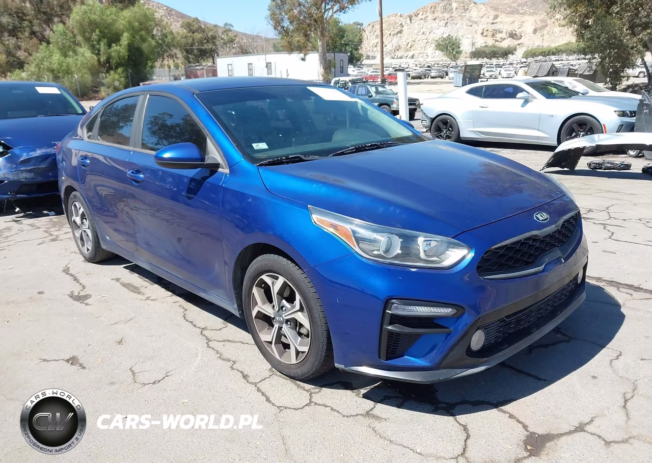 2019 Kia Forte Lxs