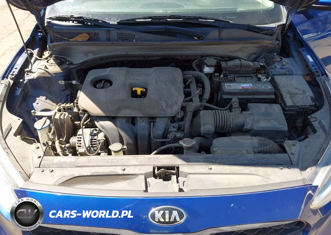 2019 Kia Forte Lxs VIN:3KPF24AD6KE115130 - 10