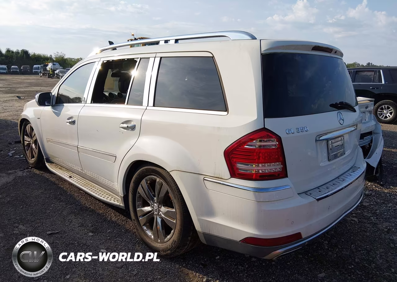 2010 Mercedes-Benz Gl 350 Bluetec 4Matic VIN:4JGBF2FE3AA594824 - 3