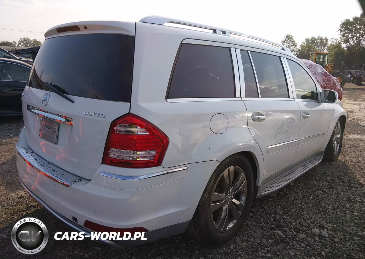2010 Mercedes-Benz Gl 350 Bluetec 4Matic VIN:4JGBF2FE3AA594824 - 4