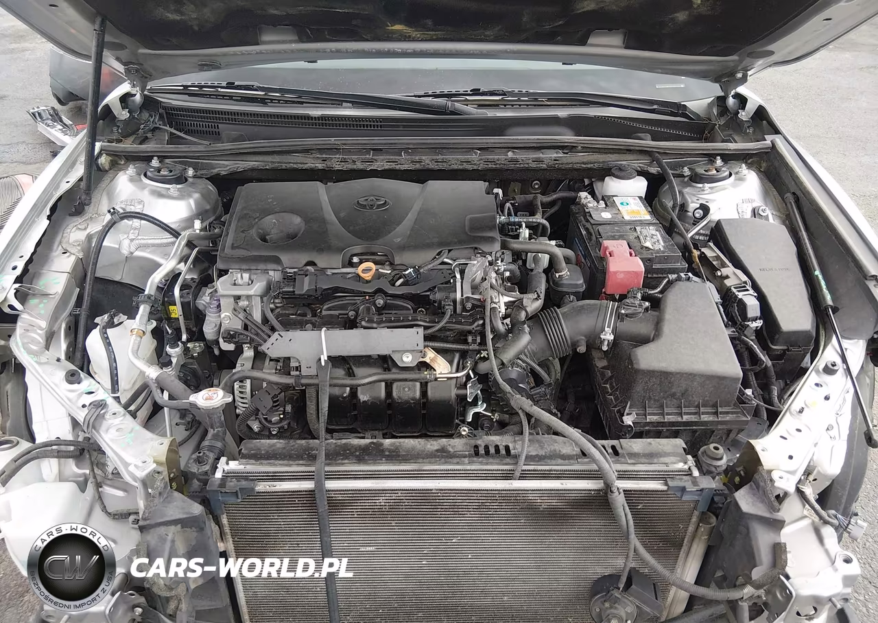 2019 Toyota Camry Xse VIN:4T1B61HK9KU202782 - 10