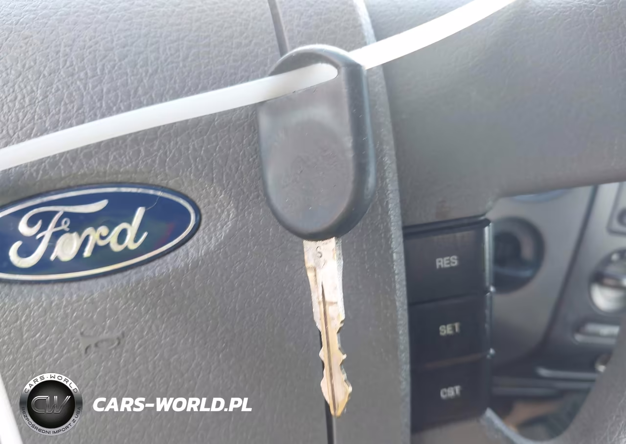 2004 Ford F-150 Stx-Xl-Xlt VIN:1FTRX12W54NB30892 - 11