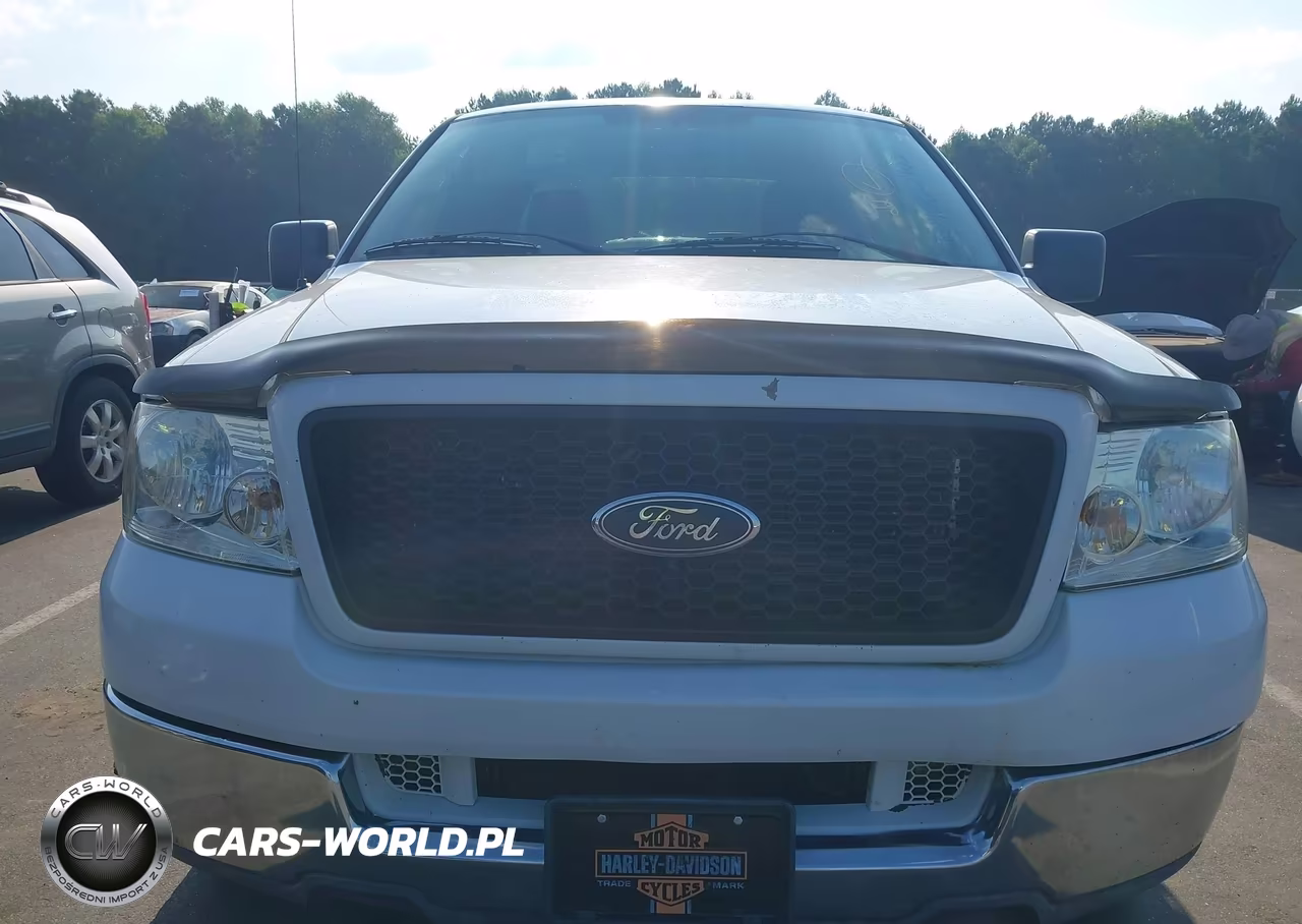 2004 Ford F-150 Stx-Xl-Xlt VIN:1FTRX12W54NB30892 - 6