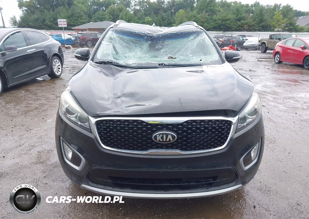 2016 Kia Sorento 2.0T Ex VIN:5XYPHDA12GG048108 - 12