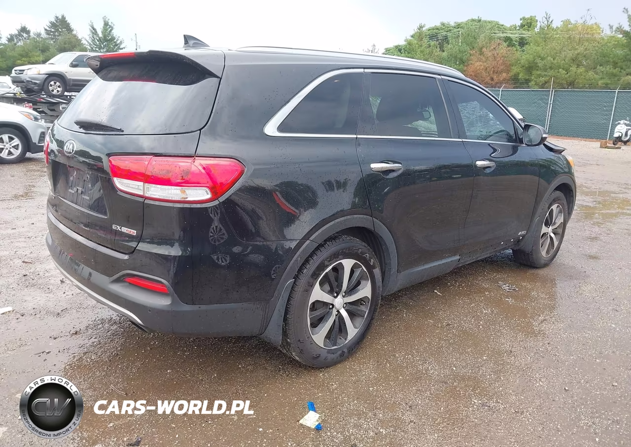 2016 Kia Sorento 2.0T Ex VIN:5XYPHDA12GG048108 - 4
