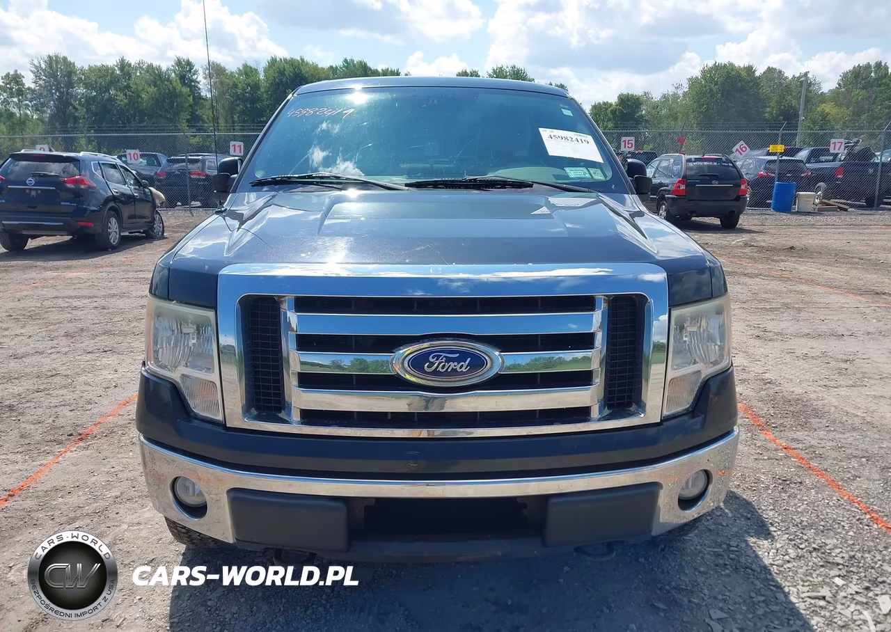 2010 Ford F-150 Fx4-Lariat-Xl-Xlt VIN:1FTFX1EV8AFA82428 - 12