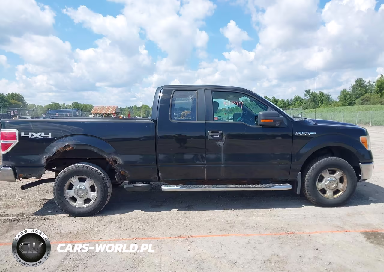 2010 Ford F-150 Fx4-Lariat-Xl-Xlt VIN:1FTFX1EV8AFA82428 - 13