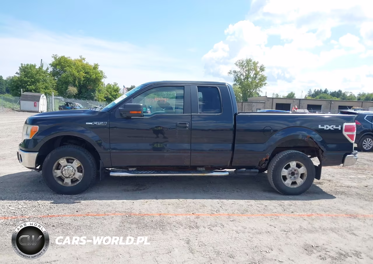 2010 Ford F-150 Fx4-Lariat-Xl-Xlt VIN:1FTFX1EV8AFA82428 - 14