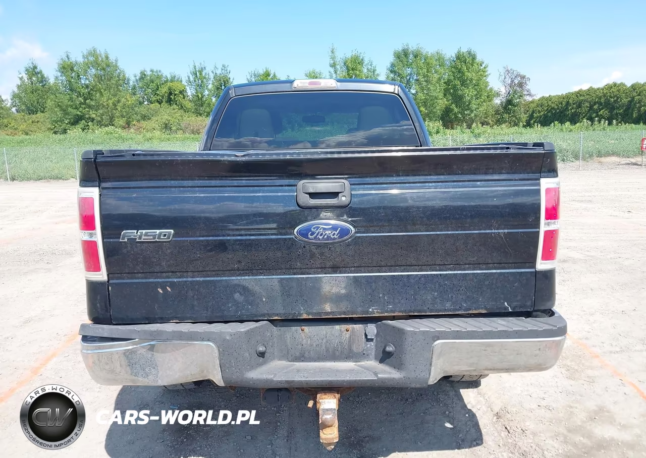 2010 Ford F-150 Fx4-Lariat-Xl-Xlt VIN:1FTFX1EV8AFA82428 - 16