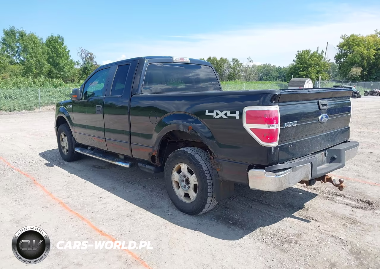 2010 Ford F-150 Fx4-Lariat-Xl-Xlt VIN:1FTFX1EV8AFA82428 - 3