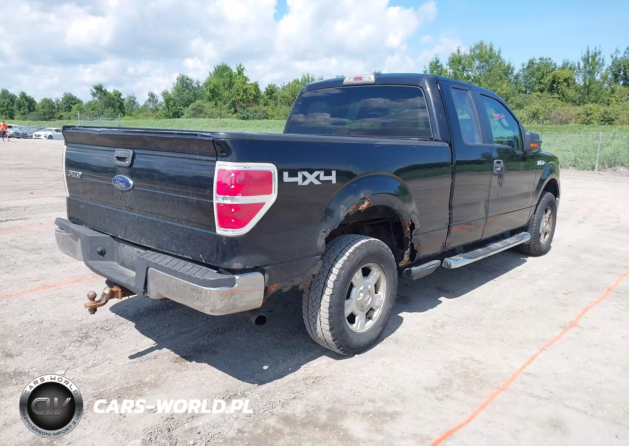 2010 Ford F-150 Fx4-Lariat-Xl-Xlt VIN:1FTFX1EV8AFA82428 - 4