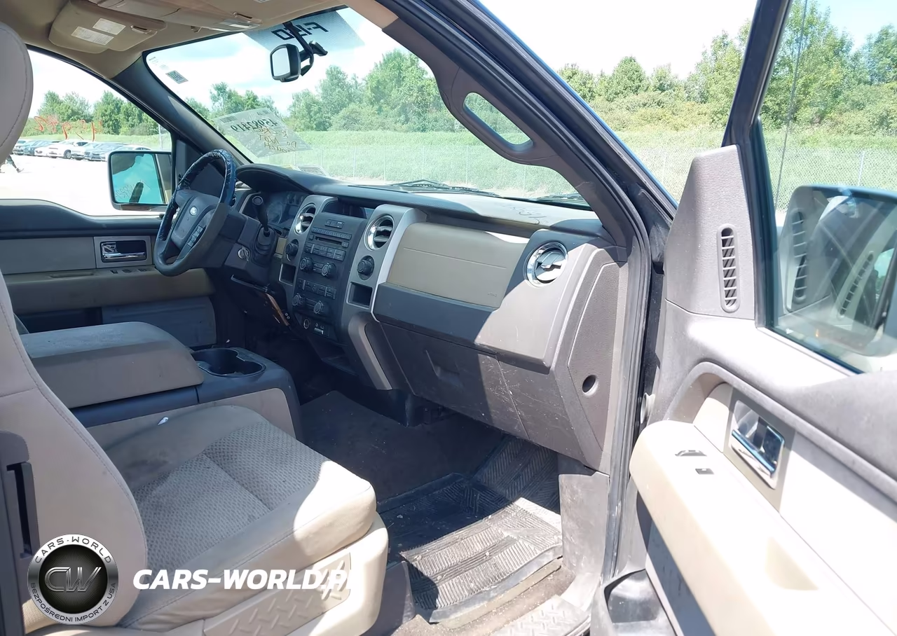2010 Ford F-150 Fx4-Lariat-Xl-Xlt VIN:1FTFX1EV8AFA82428 - 5