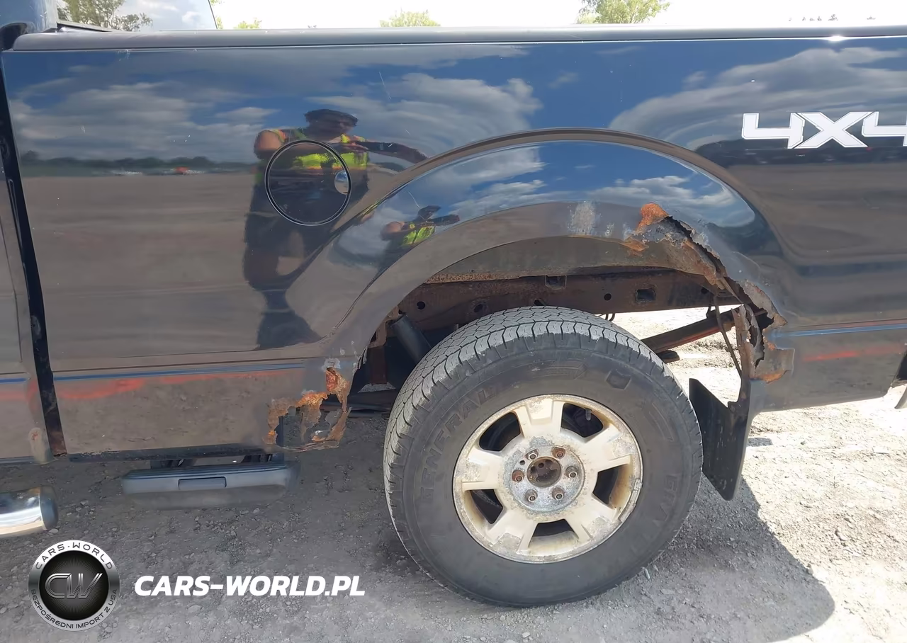 2010 Ford F-150 Fx4-Lariat-Xl-Xlt VIN:1FTFX1EV8AFA82428 - 6