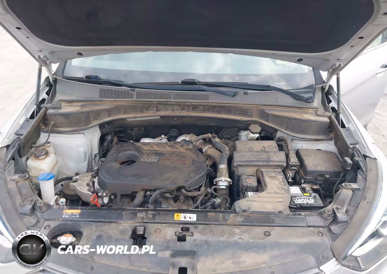 2017 Hyundai Santa Fe Sport 2.0T Ultimate VIN:5XYZW4LA3HG447459 - 10