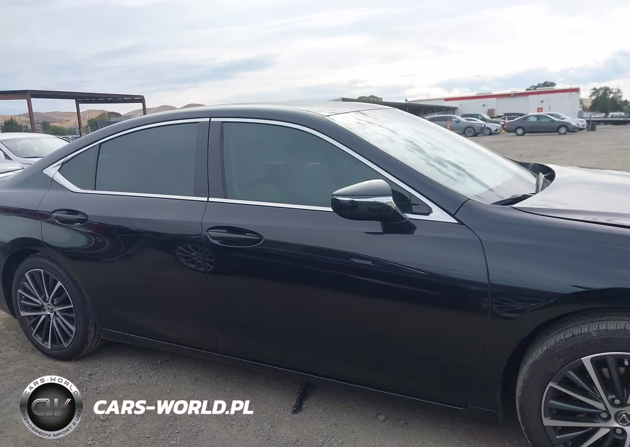 2024 Lexus Es 300H VIN:58ADA1C15RU038925 - 14