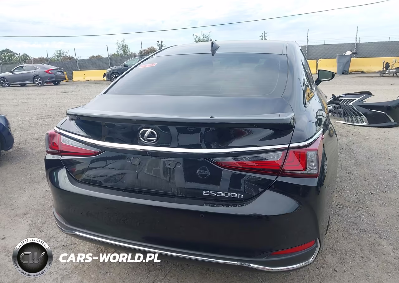 2024 Lexus Es 300H VIN:58ADA1C15RU038925 - 17