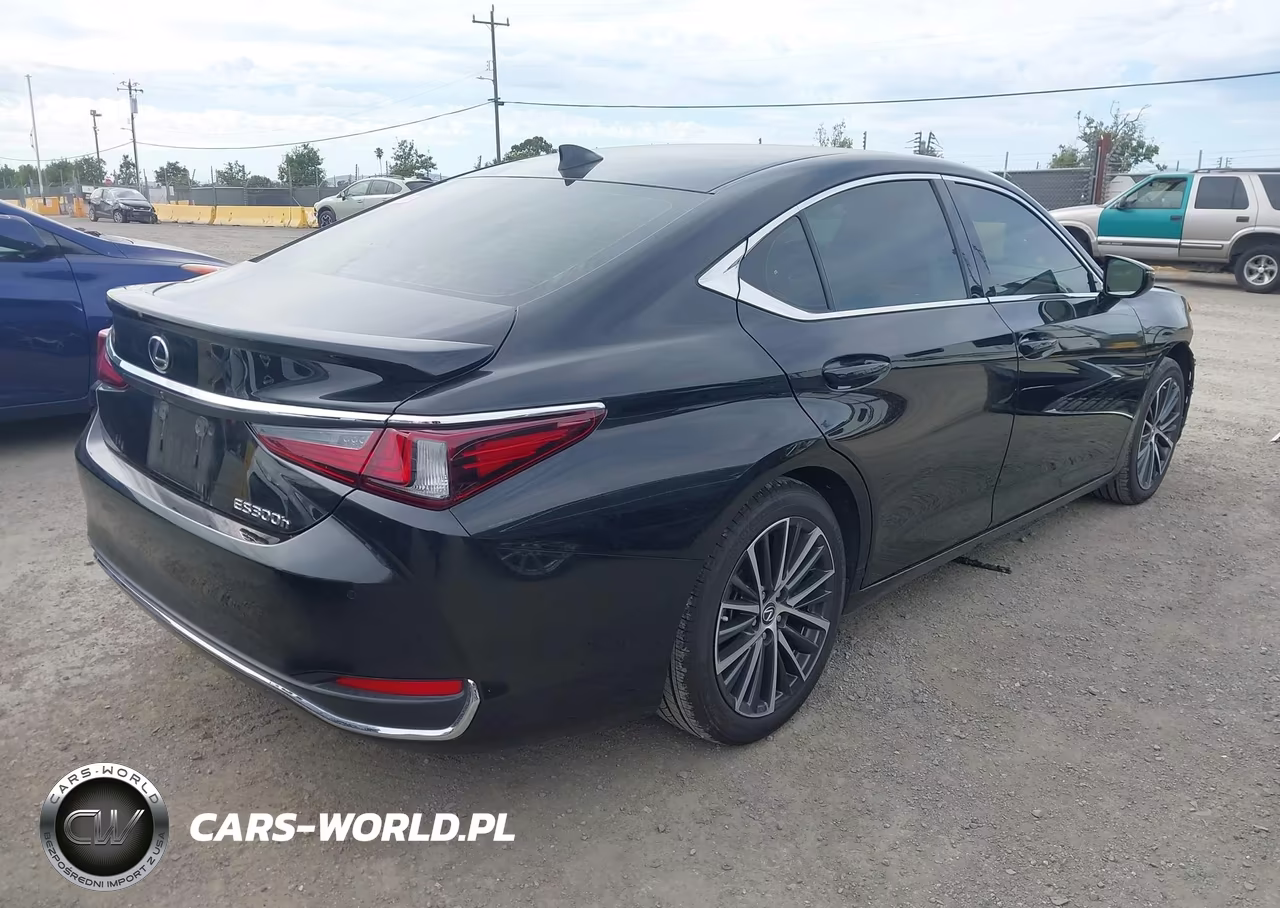 2024 Lexus Es 300H VIN:58ADA1C15RU038925 - 4