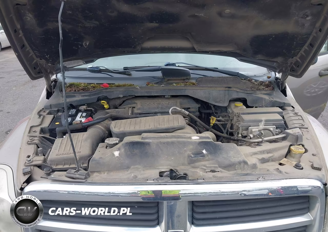 2005 Dodge Durango Limited VIN:1D8HB58D95F531768 - 10