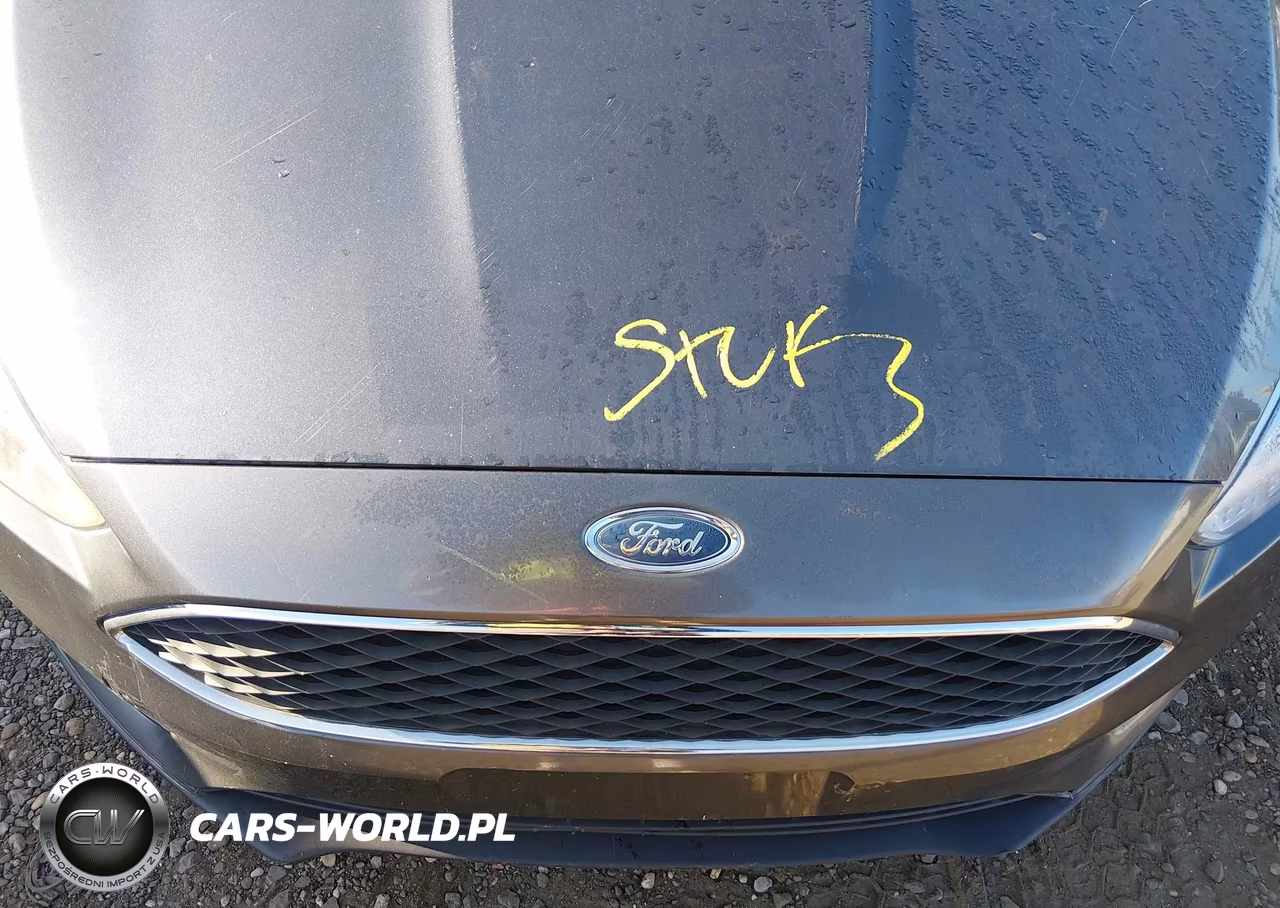 2018 Ford Focus Se VIN:1FADP3K28JL307094 - 10