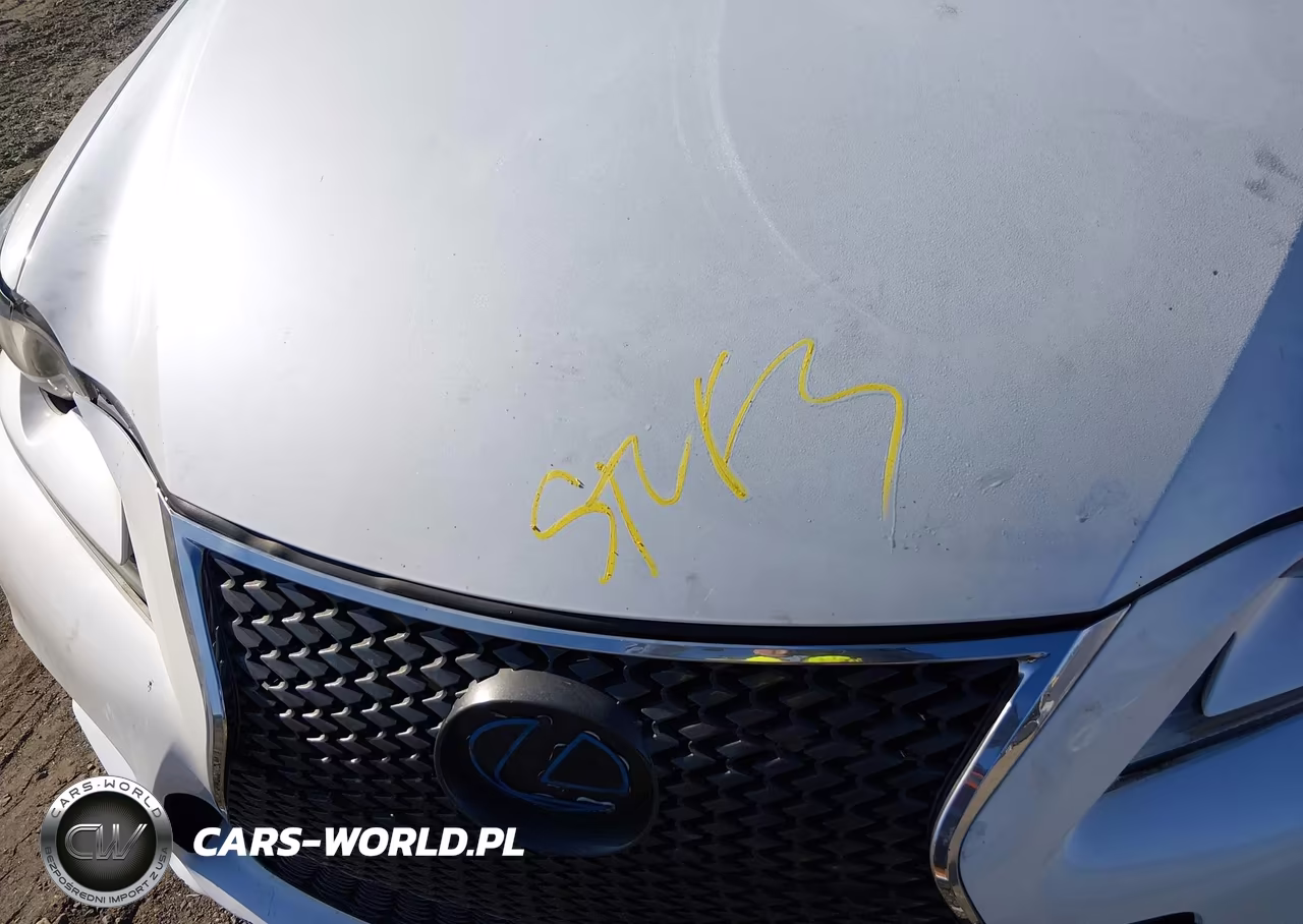 2015 Lexus Is 250 VIN:JTHBF1D26F5073019 - 10