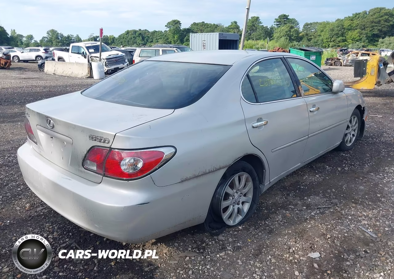 2002 Lexus Es 300 VIN:JTHBF30G920020819 - 4
