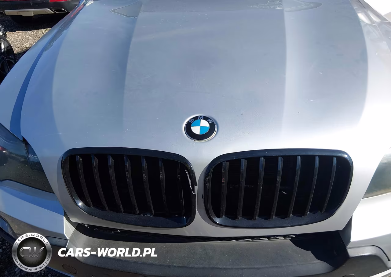 2010 BMW X5 xDrive30I VIN:5UXFE4C51AL379535 - 10