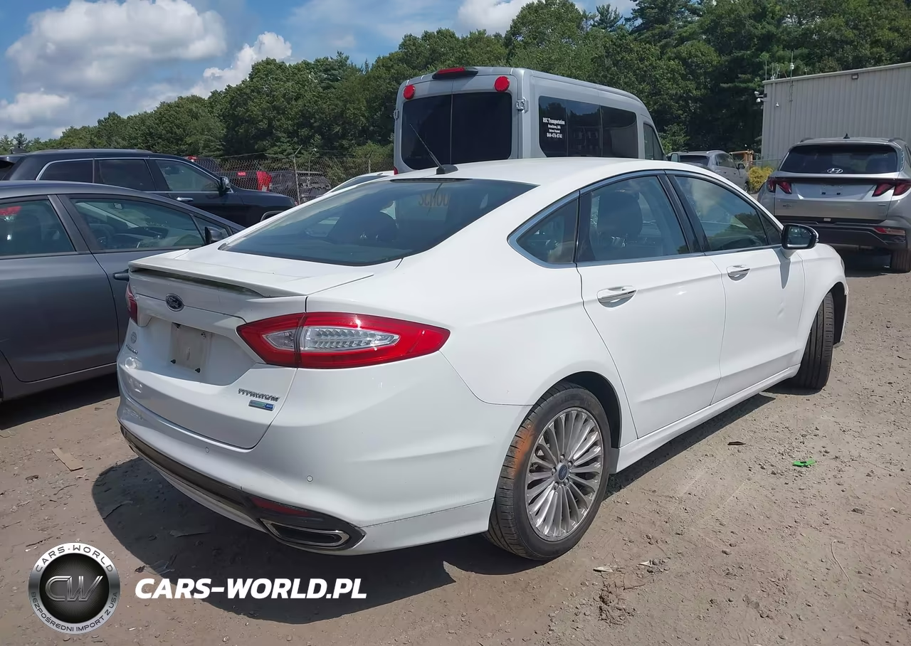 2014 Ford Fusion Titanium VIN:3FA6P0D91ER250178 - 4