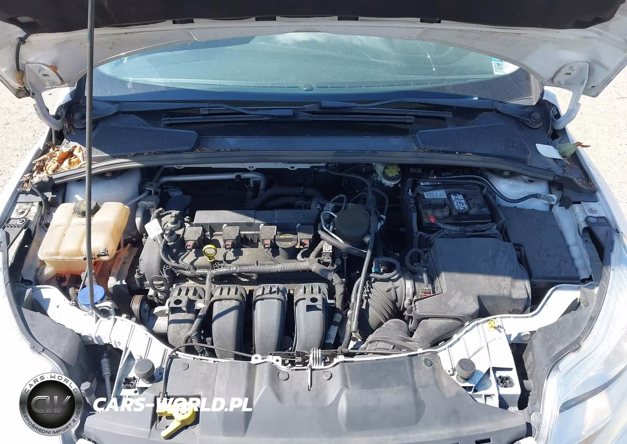 2014 Ford Focus Se VIN:1FADP3F24EL325219 - 10