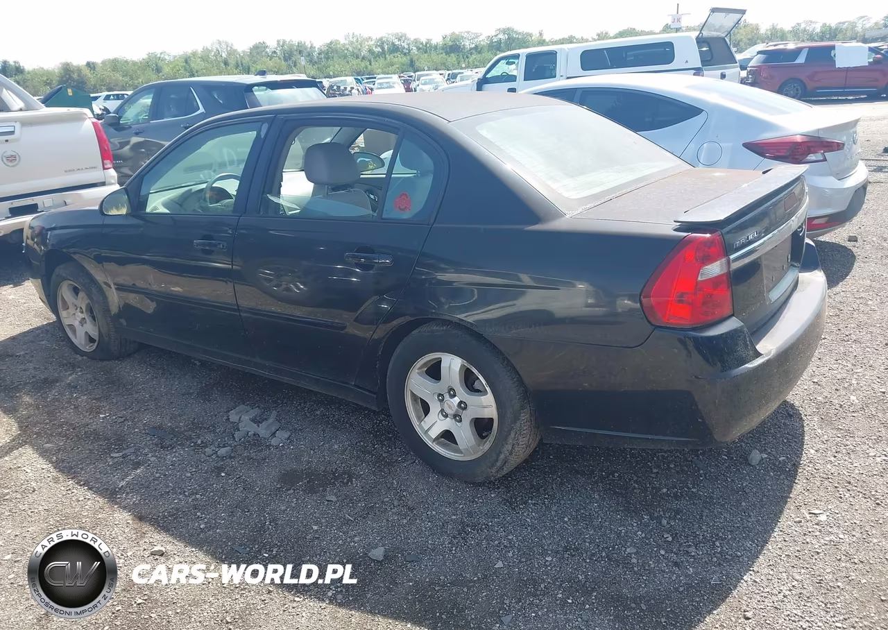 2004 Chevrolet Malibu Lt VIN:1G1ZU54894F195147 - 3