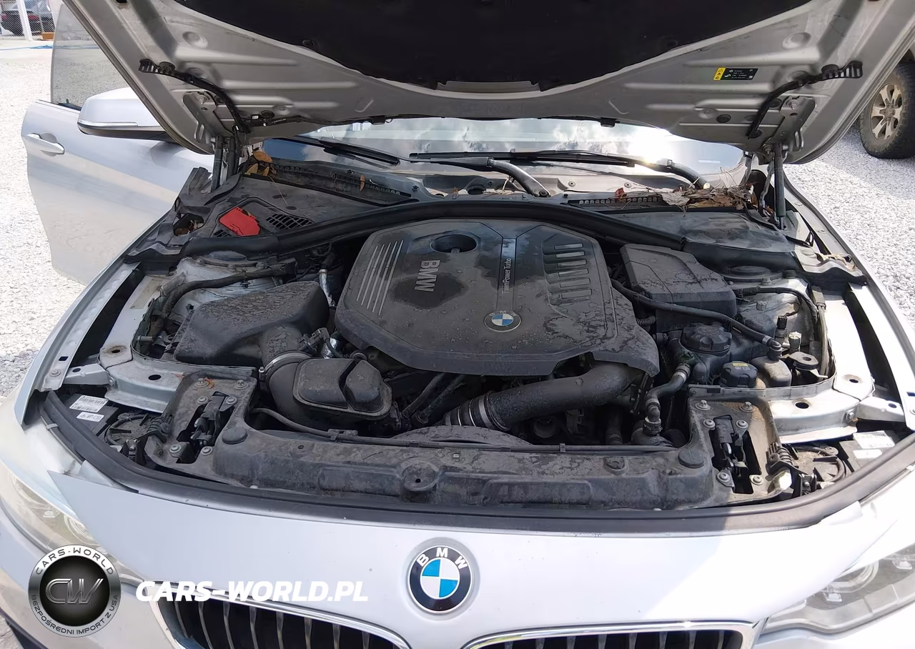 2017 BMW 440I Gran Coupe xDrive VIN:WBA4E5C32HG189546 - 10
