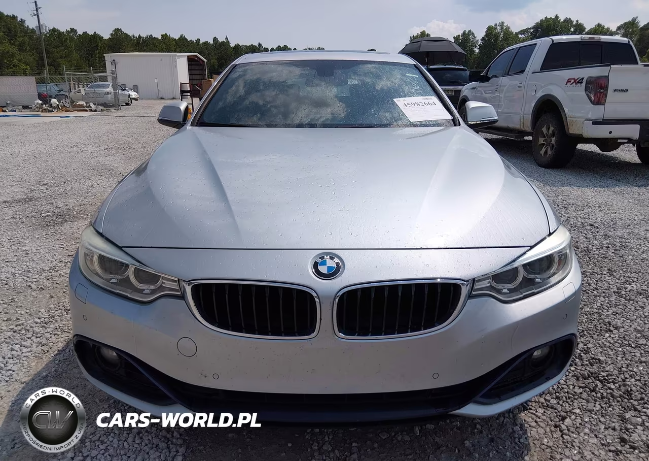 2017 BMW 440I Gran Coupe xDrive VIN:WBA4E5C32HG189546 - 12