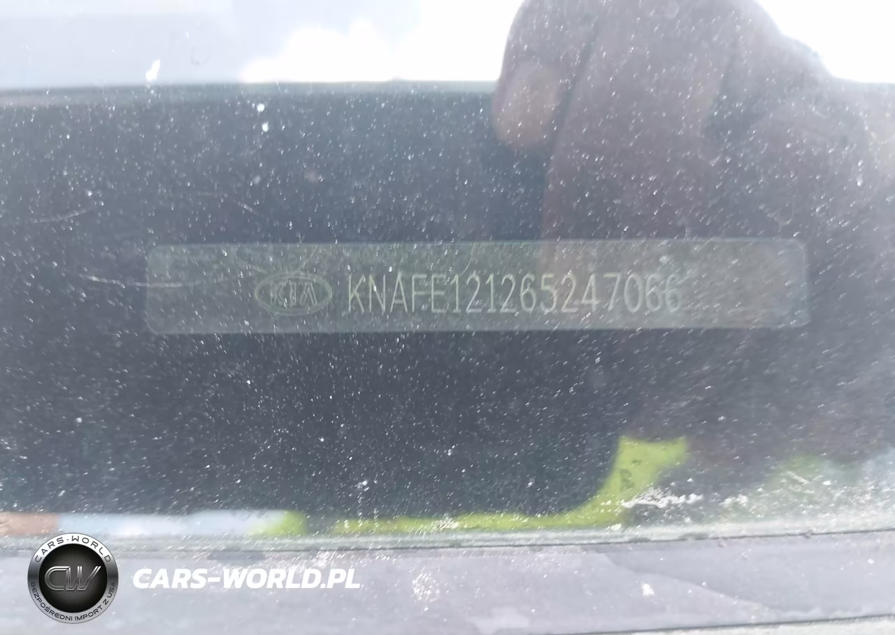2006 Kia Spectra Ex-Lx-Sx VIN:KNAFE121265247066 - 9