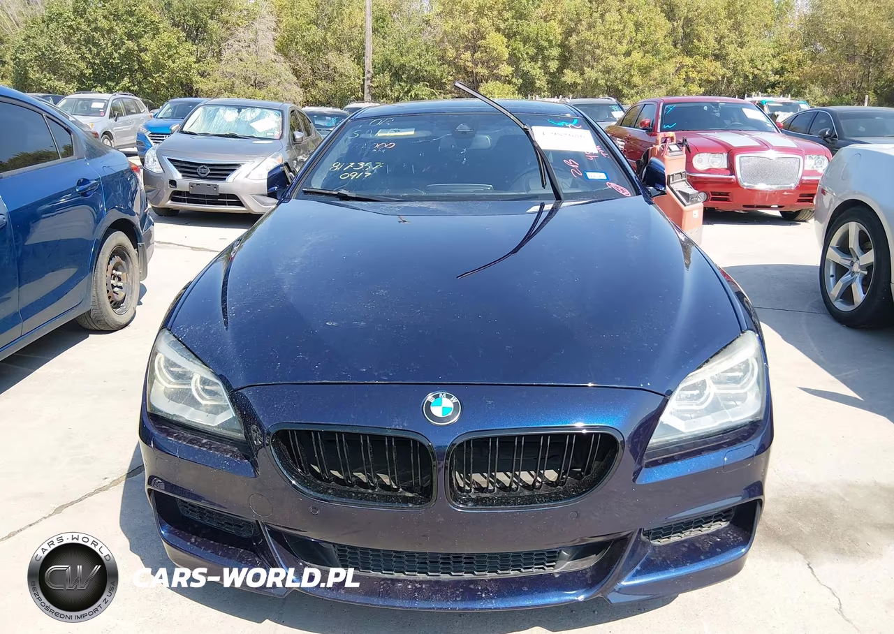 2014 BMW 650I VIN:WBAYM9C55ED248065 - 12