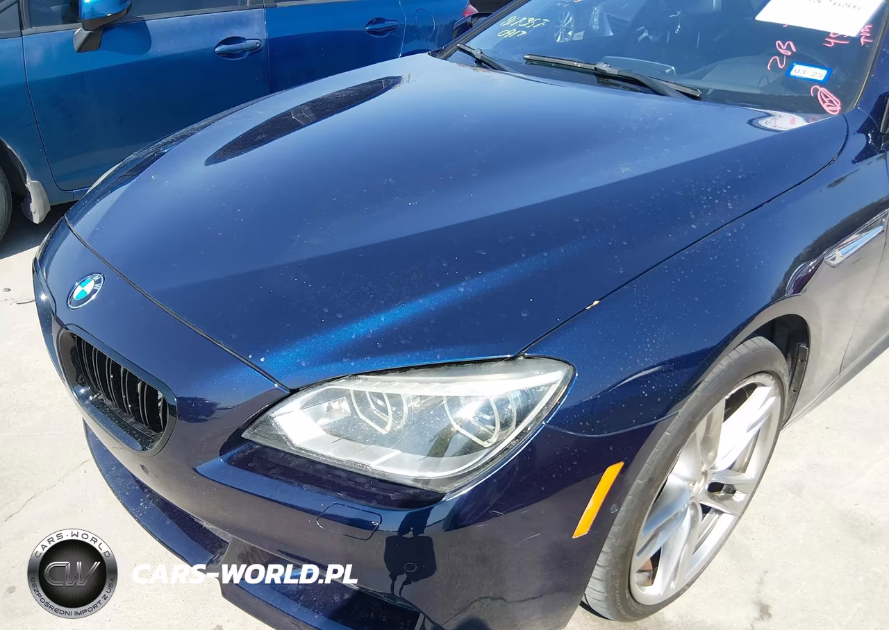 2014 BMW 650I VIN:WBAYM9C55ED248065 - 6