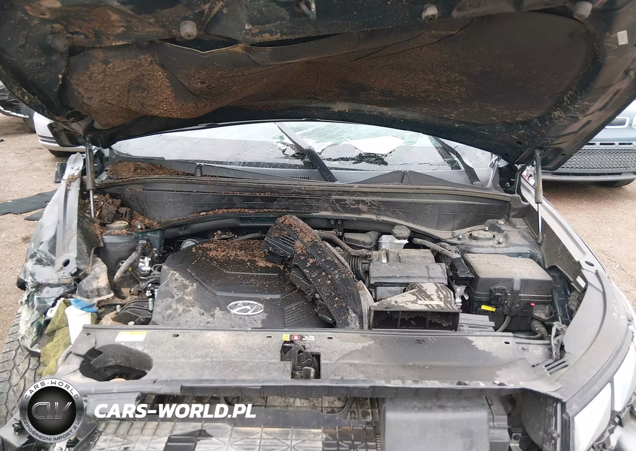 2024 Hyundai Palisade Calligraphy VIN:KM8R7DGE8RU724497 - 10