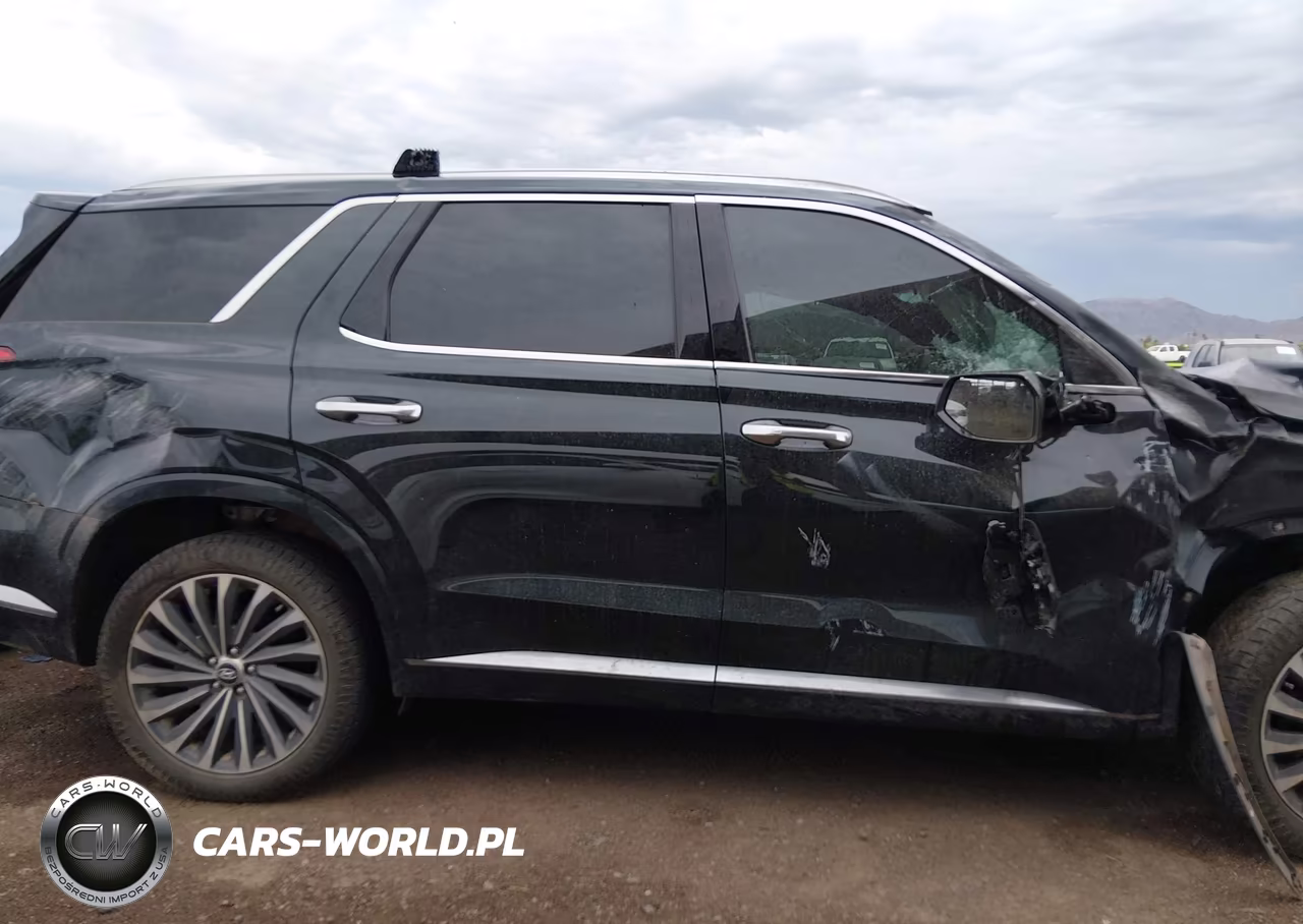 2024 Hyundai Palisade Calligraphy VIN:KM8R7DGE8RU724497 - 14