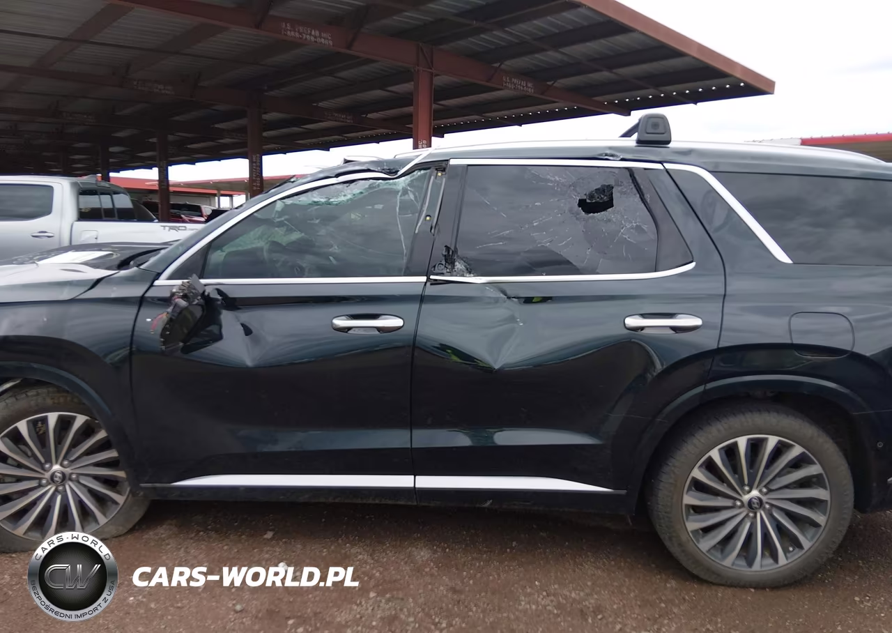 2024 Hyundai Palisade Calligraphy VIN:KM8R7DGE8RU724497 - 15