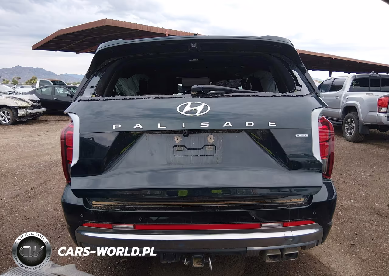 2024 Hyundai Palisade Calligraphy VIN:KM8R7DGE8RU724497 - 17