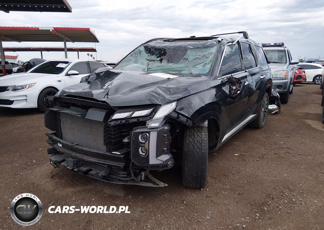 2024 Hyundai Palisade Calligraphy VIN:KM8R7DGE8RU724497 - 2