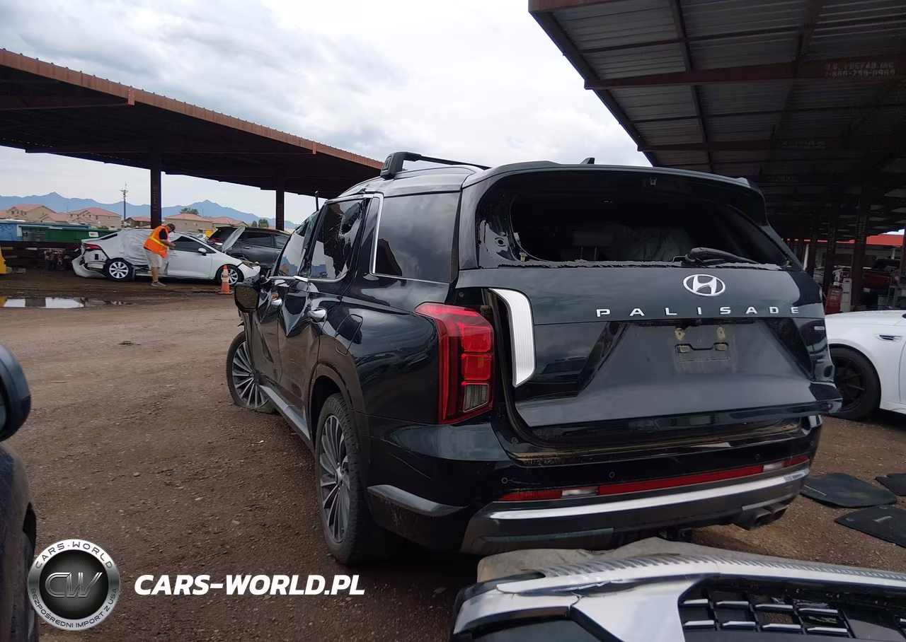 2024 Hyundai Palisade Calligraphy VIN:KM8R7DGE8RU724497 - 3