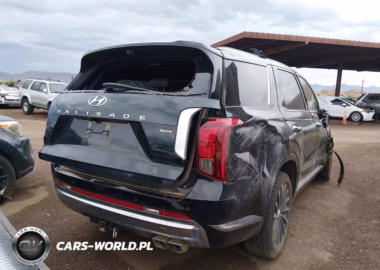 2024 Hyundai Palisade Calligraphy VIN:KM8R7DGE8RU724497 - 4