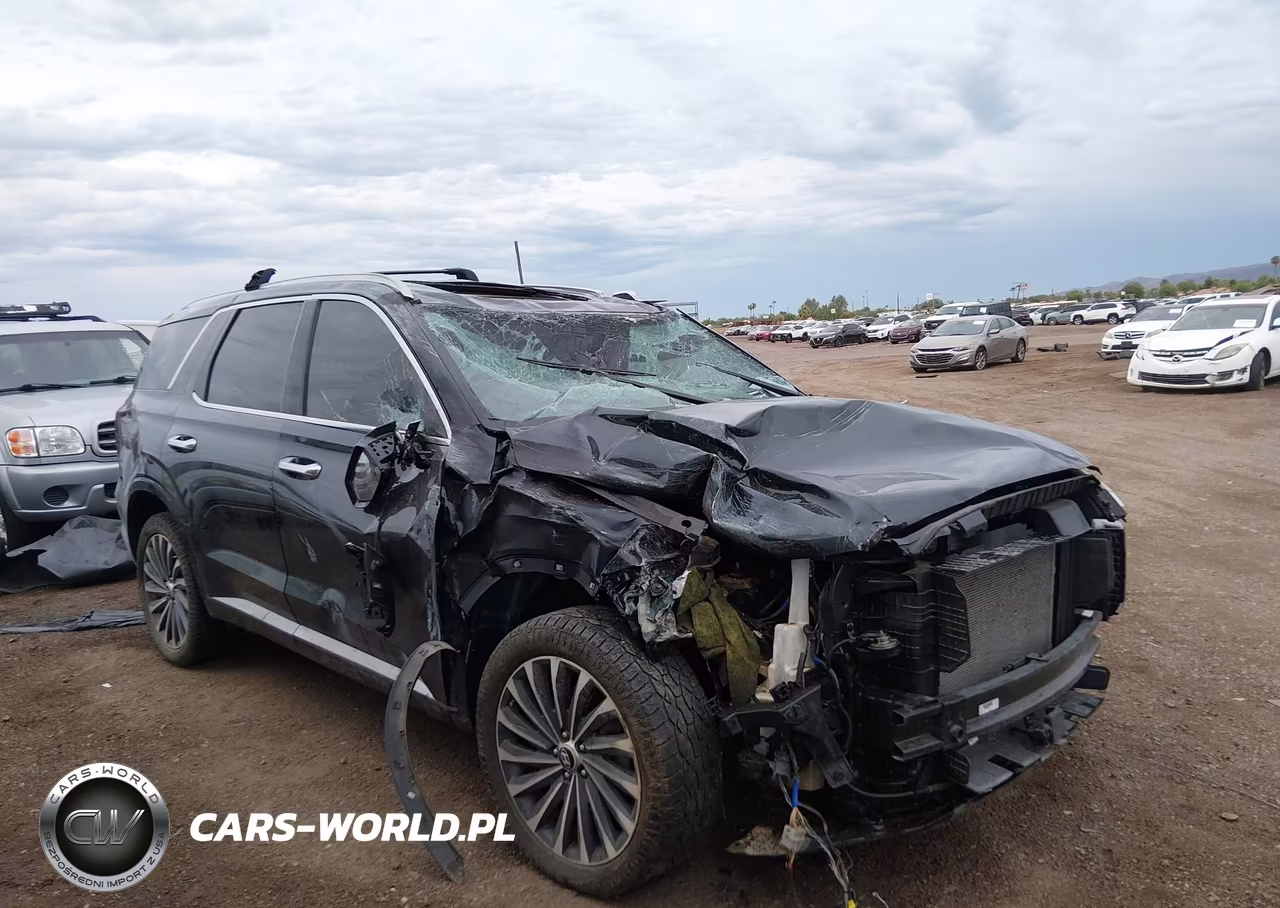 2024 Hyundai Palisade Calligraphy VIN:KM8R7DGE8RU724497 - 6