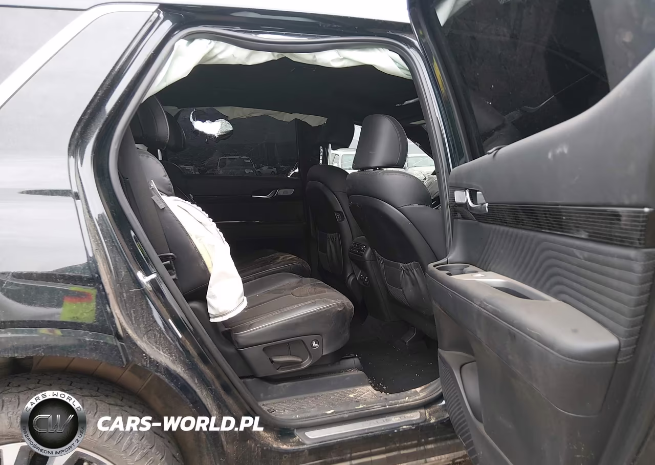 2024 Hyundai Palisade Calligraphy VIN:KM8R7DGE8RU724497 - 8