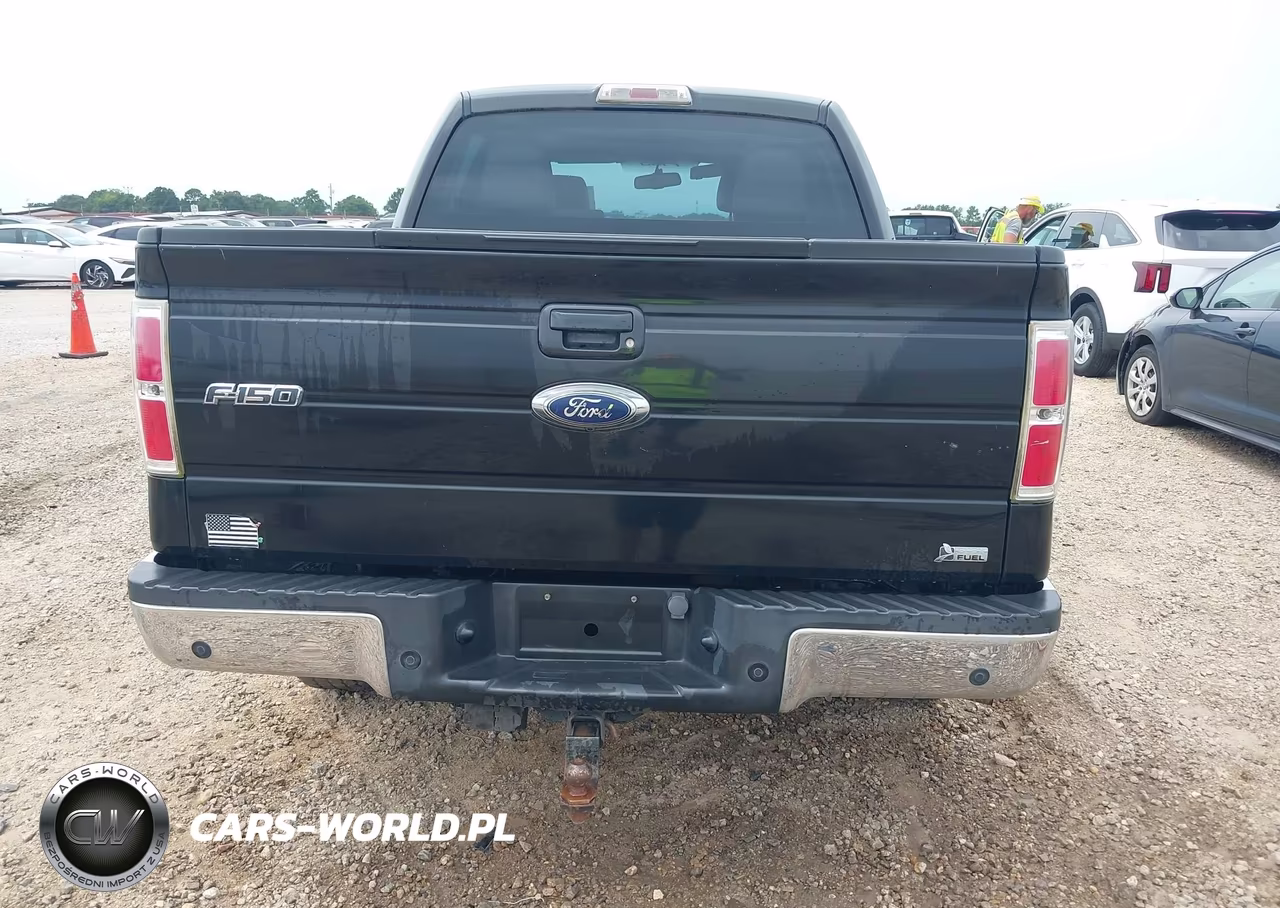 2010 Ford F-150 Fx2 Sport-Harley-Davidson-King Ranch-Lariat-Platinum-Xl-Xlt VIN:1FTFW1CV2AKB59162 - 16